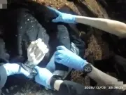 Two Hampshire Police Officers Probed for Handcuffing Dying Teen Henry Nowak
