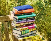 Two Previous Winners Lead Booker Prize Longlist with Experimental Novels
