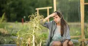 Two Simple Steps to Protect Your Garden During a Heatwave