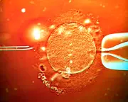 UK Couple's Twins Conceived with Wrong Sperm by Sri Lankan Surrogacy Agency