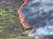 UK Faces 'Firewave' Risk as Heatwave Sparks Multiple Wildfires