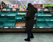 UK Faces Food Shortages in 5 Years Due to Ecosystem Collapse, Spy Report Warns