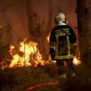 UK faces fourth heatwave amid wildfire warnings - experts weigh in