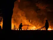 UK Foreign Office Issues Wildfire Alert for Parts of France