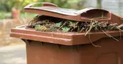 UK Gardeners Warned of £5,000 Fine for Wrong Items in Green Bins