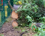 UK Government Accused of Rushing Planning Changes That Let Developers Bypass Nature Laws for £1