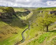 UK Government's 30by30 Nature Plan Criticised as 'Completely Insufficient'