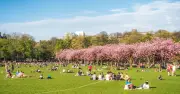 UK Heatwave: 7 Counties to Hit 35C as Weather Maps Turn Volcanic Red