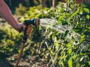 UK Hosepipe Ban: Full Exemptions List for July 10 Revealed