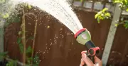 UK households in West Country urged to take shorter showers as drought nears