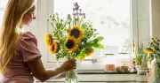 UK Households Urged to Remove Flowers Before Wednesday Due to High Pollen