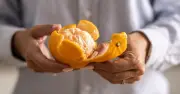 UK Households Urged to Use Orange Peel to Repel Spiders Naturally