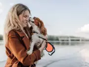 UK Pet Owners Face £21 Vet Prescription Fee Cap but Risk Higher Insurance