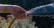 UK Region with No Hosepipe Ban for 31 Years: Severn Trent Water