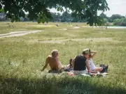UK Third Heatwave of 2026: Longer but Less Extreme, Met Office Says
