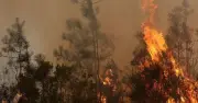 UK Tourists Urged to Check Insurance as Wildfires Hit Spain and France