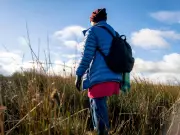 UKHSA Warns Walkers to Avoid Ticks in Grassy Areas This Summer