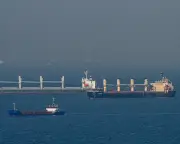 Ukraine Blames Russia for Deadly Strike on Grain Cargo Ship
