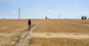UK's driest village sees no rain for 28 days as residents adapt