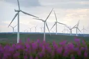 UK's largest onshore windfarm to double capacity with taller turbines