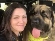 Unlicensed dog boarder spared jail after family pet dies on hot day