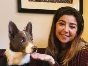 Urgent Warning to Dog Owners After Puppy Dies from Algae Poisoning in Lake District