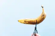 Vasectomy numbers surge in Australia as men take contraceptive responsibility