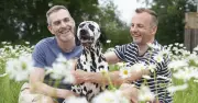 Vet recommends 60p sardine water trick to keep dogs cool in heatwave