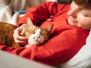 Vet Reveals the One Cat Breed That Makes Him 'Very Nervous'