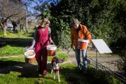 Victorian Community Creates Local Compost Network, Challenges Fogo Bins