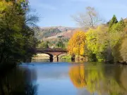 Visit Callander: Feed Highland Cows in Scotland's Most Beautiful Scenery
