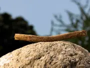 Vodafone Launches 'The Stick' Campaign to Get Kids Outdoors This Summer