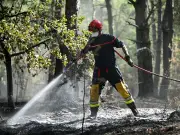 Volunteer Firefighter Probed Over Devastating Fontainebleau Wildfire Near Paris