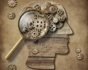 Walking Down Memory Lane Boosts Recall, Study Finds