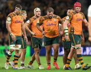 Wallabies' Pop-Gun Revival Blown Apart by France's Heavy Artillery