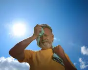 Warm Wind Panics Me More Than Heat in Climate Crisis