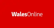 Warning After Blue-Green Algae Found at Welsh Beach