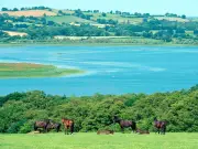 Warning Issued to Anyone Visiting Llangorse Lake in Wales