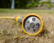 Water firms waste 5x more than hosepipe bans could save: Greenpeace