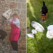 Wedding cake drop stunt sparks outrage among industry professionals