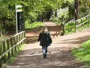 Welsh Mountain Zoo heartbroken after capybara Mango dies suddenly