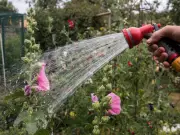 Welsh Water Hosepipe Ban Sparks Bill Reduction Demands