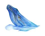 Whale Lost at Sea: Kids' Quiz on Navigation and Fun Facts
