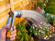 What to Do If Neighbour Breaks Hosepipe Ban: Guidance for Wales and England