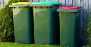 Wheelie Bins Stay Fresh with Soda Crystals: Queen of Clean Tip