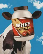Whey Protein Prices Surge as Demand from GLP-1 Users Drives 'Proteinmaxxing' Boom