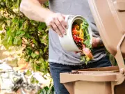 Which? Urges UK Households to Clean Wheelie Bins to Stop Summer Smells
