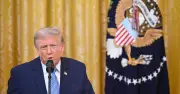 White House Website Crashes During Trump's Election Fraud Speech