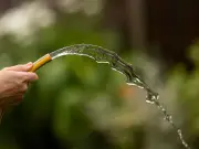 Why Greater Manchester Won't Face a Hosepipe Ban Despite UK Dry Spell