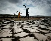 Why Peat Use Persists in UK Gardening Despite Environmental Damage